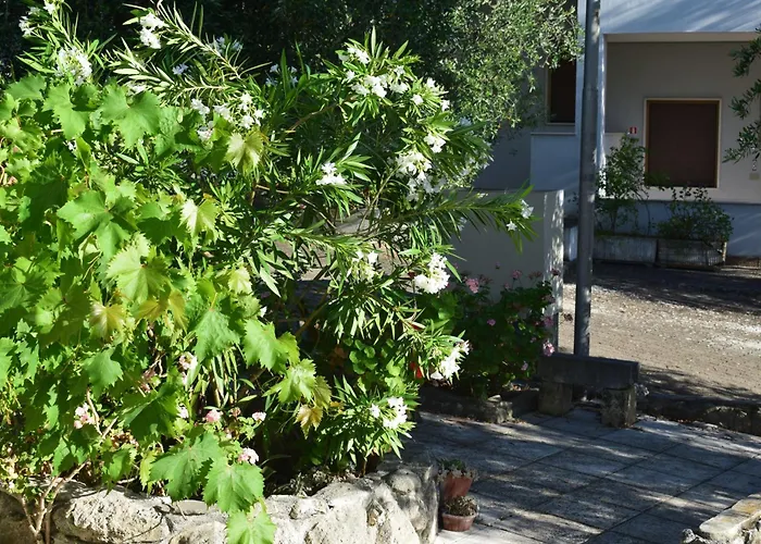 Villaggio Albergo 2 Pini