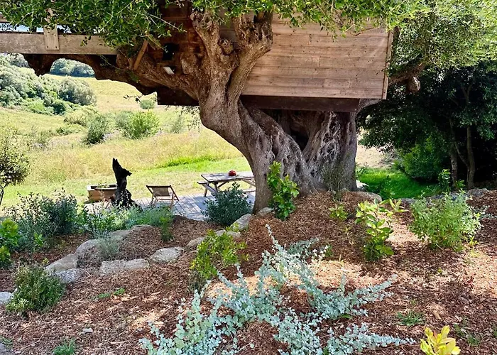 Cabane Dans Les Arbres, Domaine De L Ogliastru