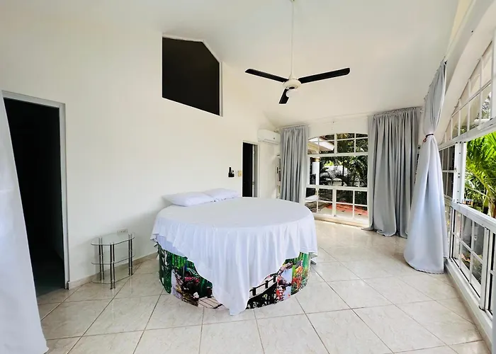 Happicasard & Holistic House