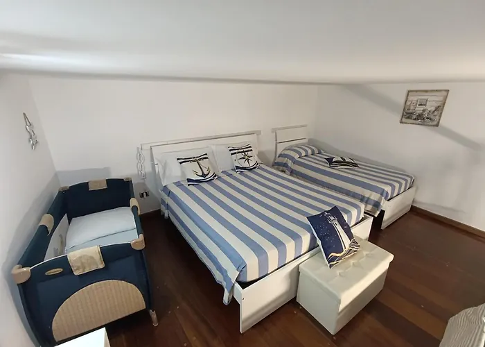 Holiday House Piccirillo
