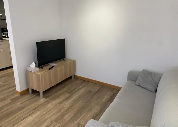 Apartment Sincic