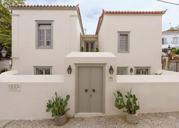 Cactus Hydra - Art Apartments