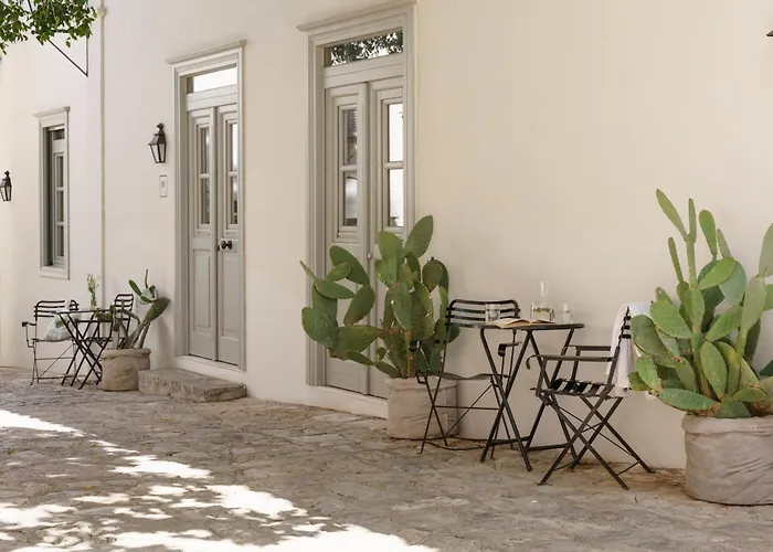 Cactus Hydra - Art Apartments