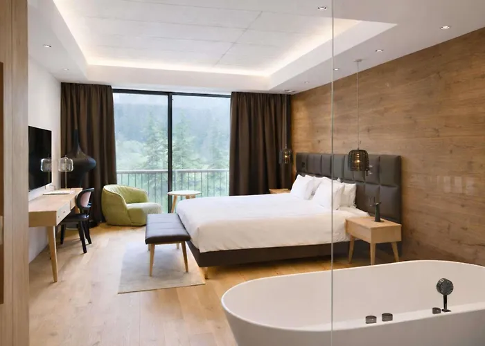 Swissotel Damian Jasna