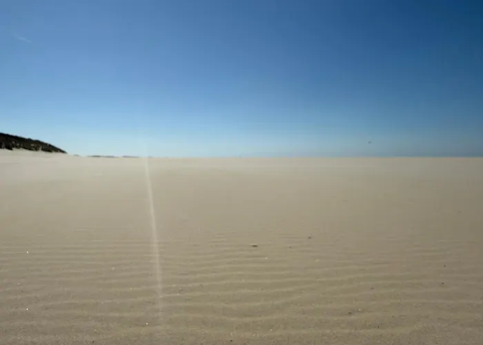 Texelheerlijk 4