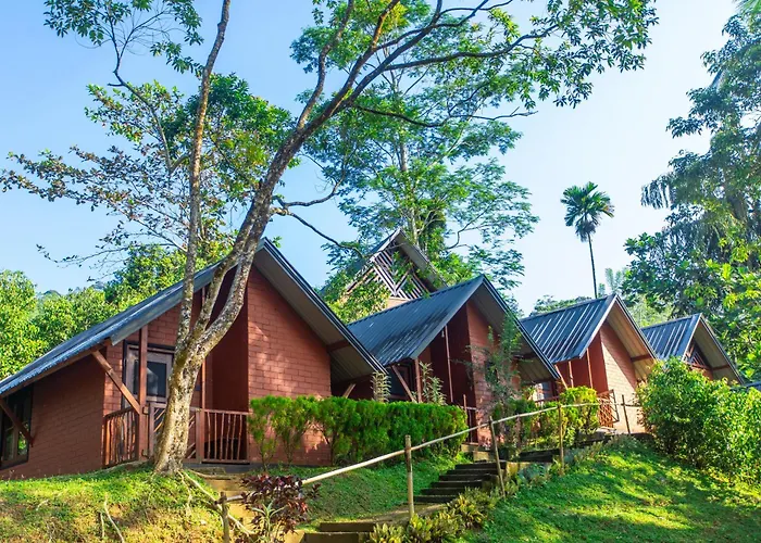 Cinnamon Village Sinharaja