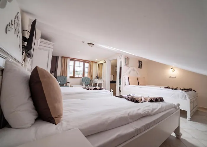 La Paloma Hotel