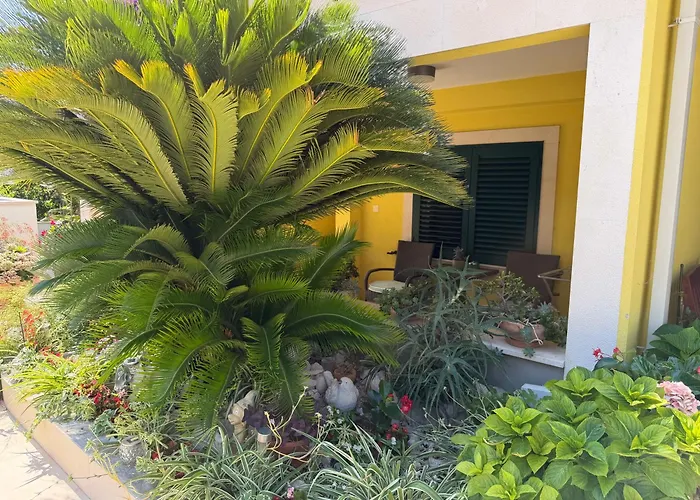 Apartments Marijan