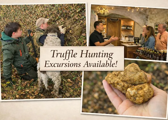 Truffle House Tuscany Tuber Albidum Pico
