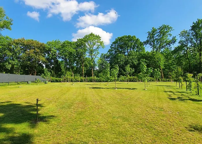 Lueneburger Heide - Ferienwohnung Am Hoepen