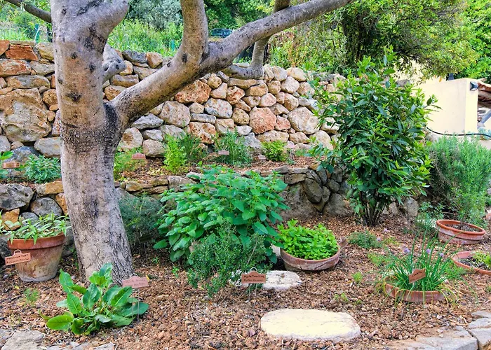 Villa La Couaste - Profitez De La Vie En Provence
