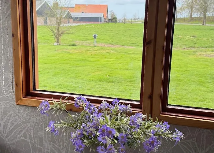 Tinyhouse Giethoorn