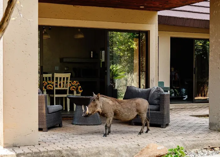 Mabalingwe Nature Reserve - Elephant Lodge - Tjaila