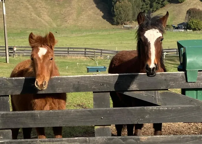Taupo S Luxury Farmstay Close To Town