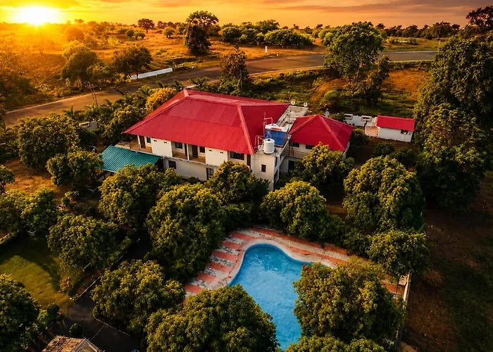 Vanveli The Forest Resort
