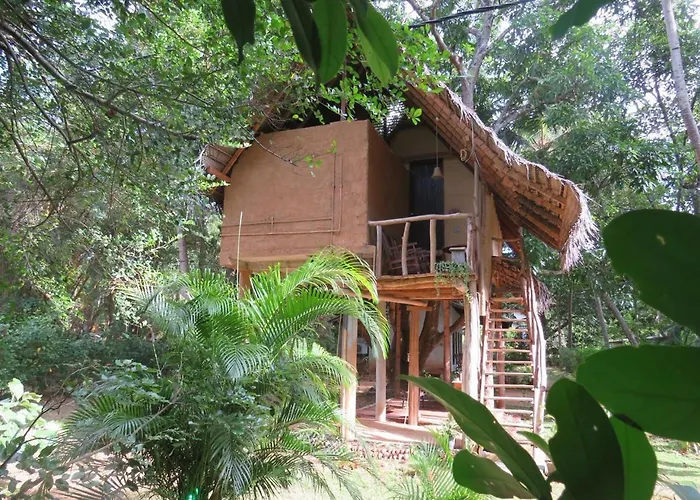 Sigiri Veenus Nature Cabana