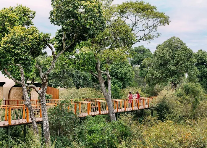 The Ritz-Carlton, Masai Mara Safari Camp