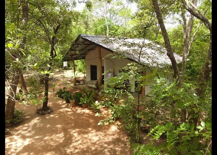 Joy Land Resort