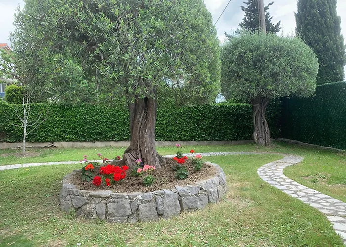 Studio Independant Avec Jardin & Piscine Dans Villa