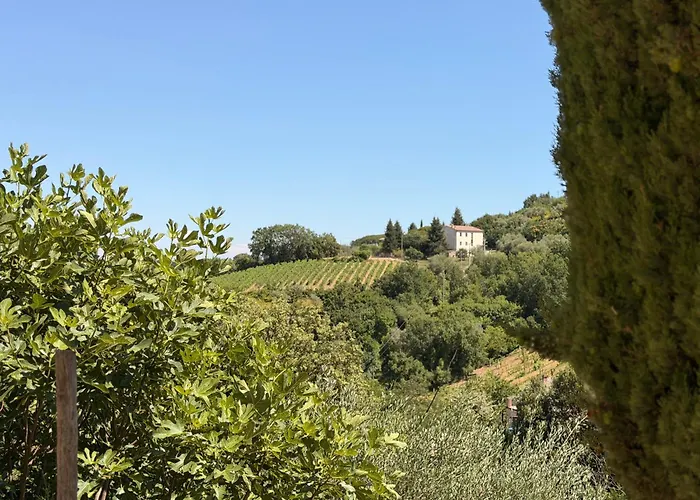 Nuovissimo Loft Panoramico Con Giardino A Montalcino