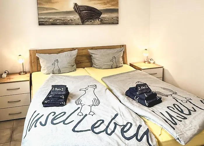 Muschel Am Strand