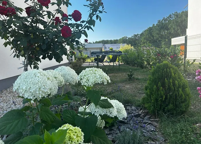 Silver Lux Apartman