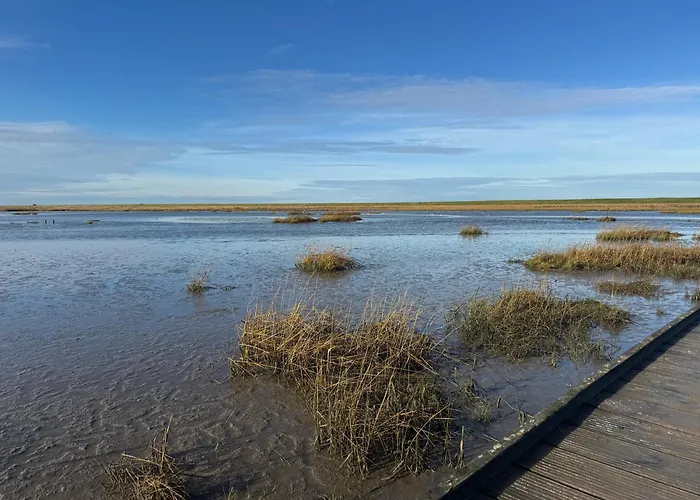 Ferienwohnungen Briesenick-Radde Strandperle Tossens