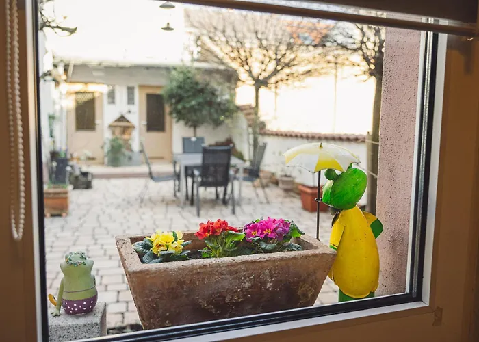 Ferienwohnung Ruedesheim Rhine17