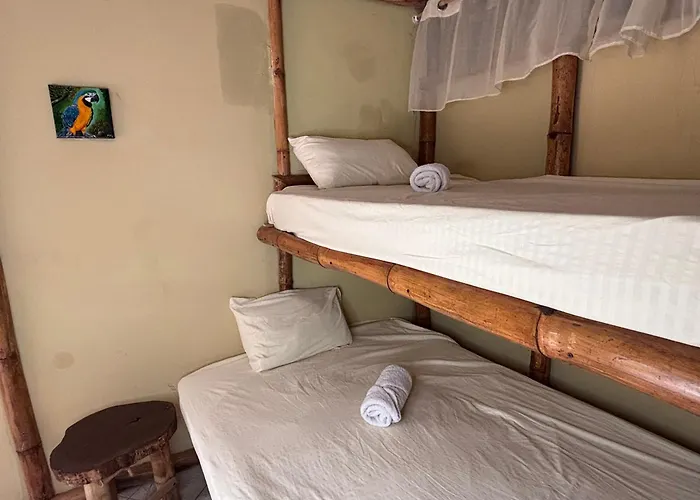Tyler'S Place
