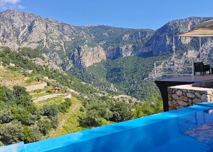 Villa Reset