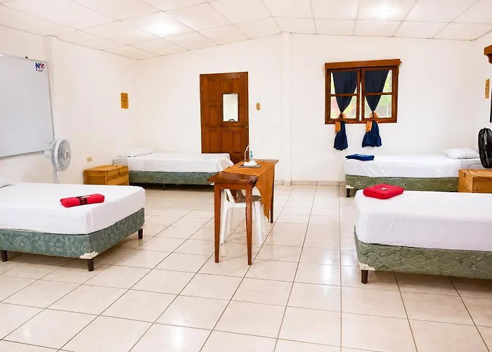 Hotel Oasis Managua Experience - Home