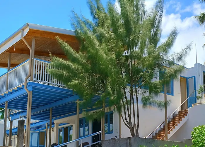The Tree House Port Vila