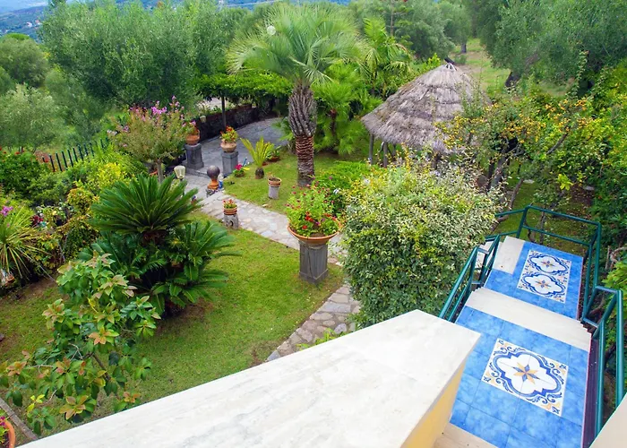 Roberto'S Garden
