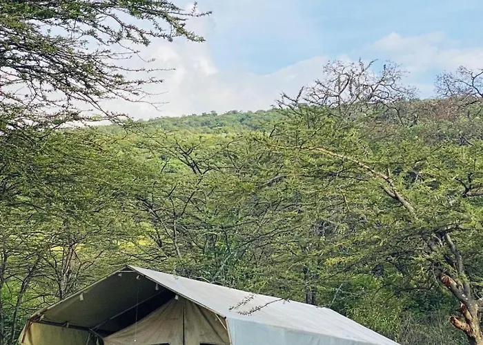 Wild Enthusiasts Camps
