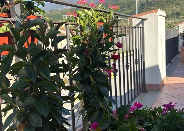Savoia Mare