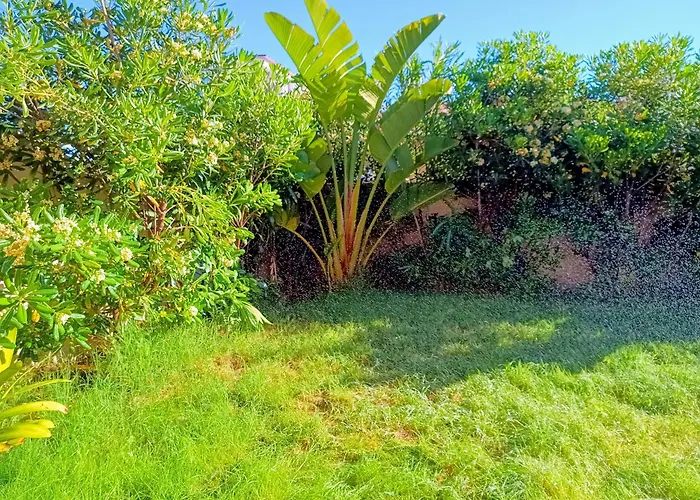 Onda Dorata