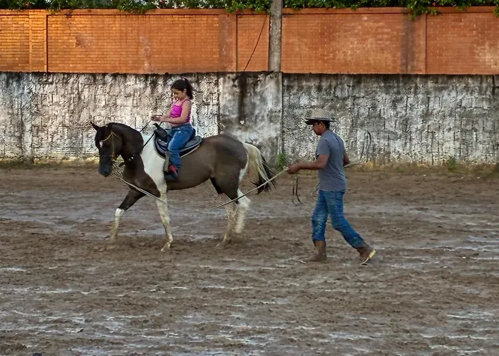 Ap Catarina