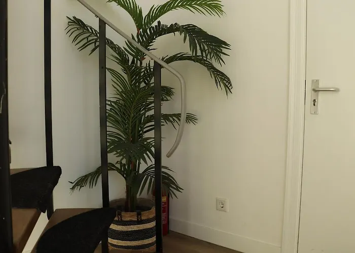 Coolest Loft -Studio In Haarlem City -Close To The Beach & Amsterdam 3Rd Floor