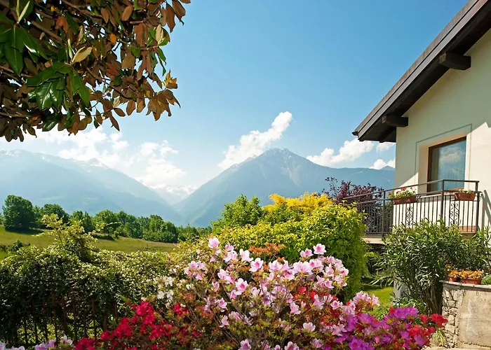 Edelweiss - Casa Vacanze Tra Le Vette Valtellinesi