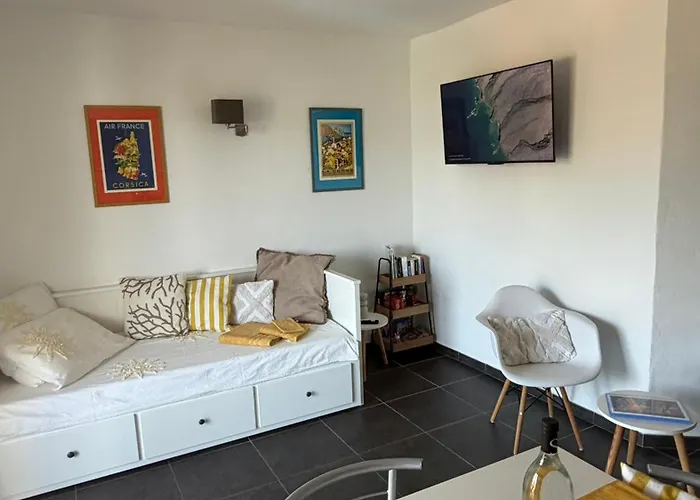 Entre Mer, Piscine Et Maquis, T2 Avec Panorama