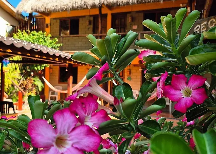 Hotelito Swiss Oasis, Playa Zicatela - Adults Only - Kitchen - Cocina