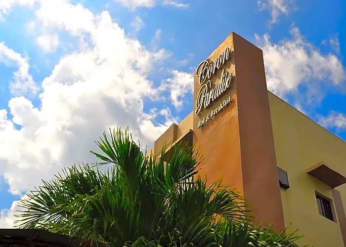 Coron Paradise Bed & Breakfast