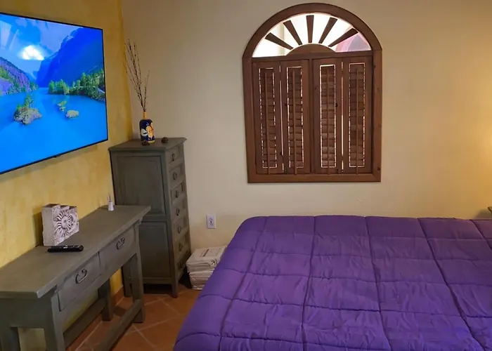 Loft With Rooftop Deck In The Malecon - Unit #206
