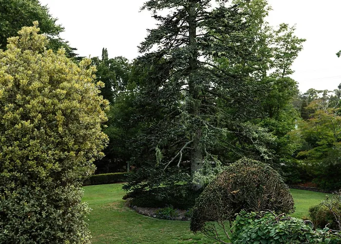 Comfort Resort Leura Gardens