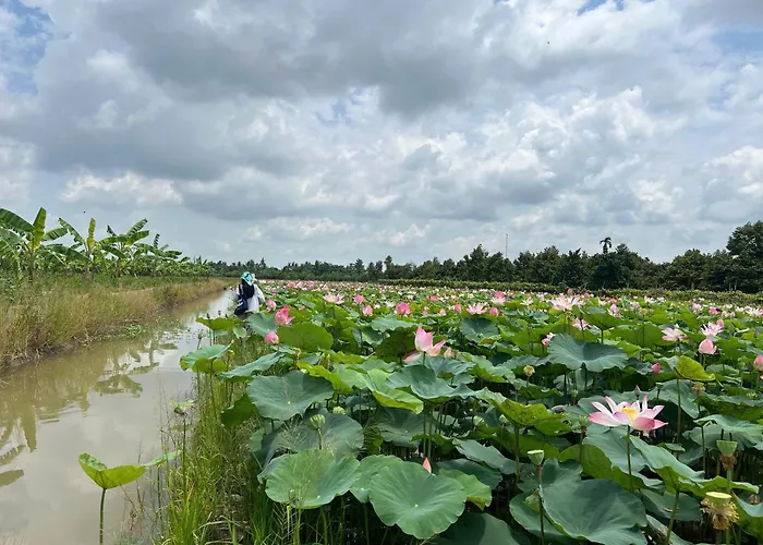 Muong Dinh Lodge