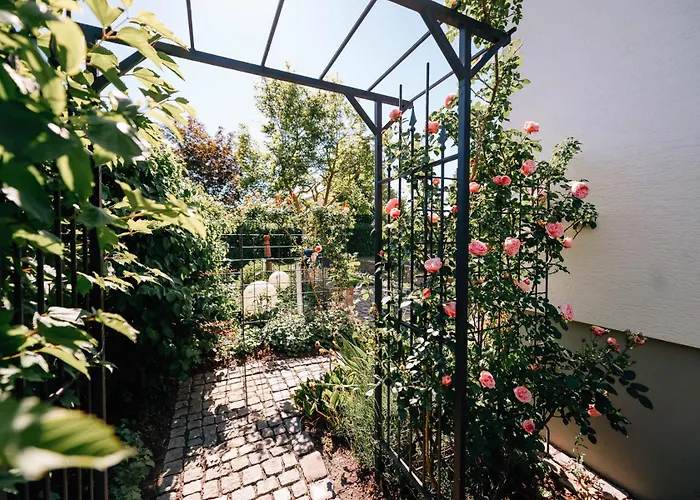 Ferienwohnungen Tonart - Modern & Stilvoll Im Weinort Sommerach