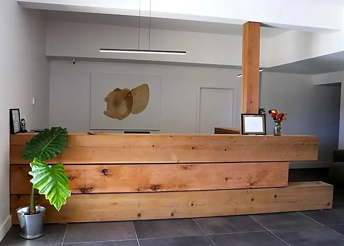 Hotel 19