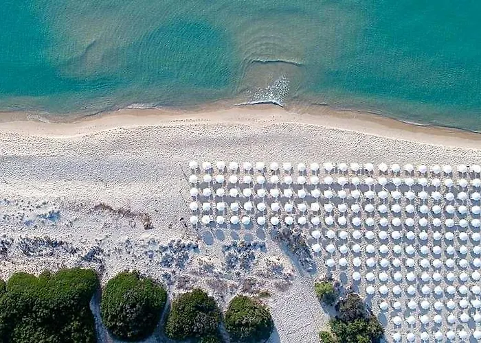 Marina Rey Beach Resort