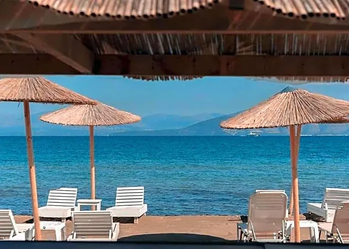 Olive Grove Beachfront