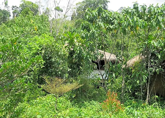 Rainbow Lodge Tatai